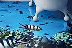 banyo-epoksi-kaplama